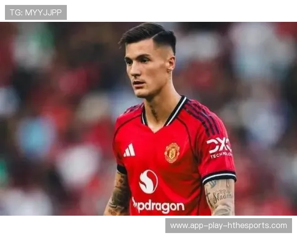 谢什科两脚踢飞良机英超强度把他吓懵了,谢科什么水平 谢什科两脚踢飞良机英超强度把他吓懵了,谢科什么水平